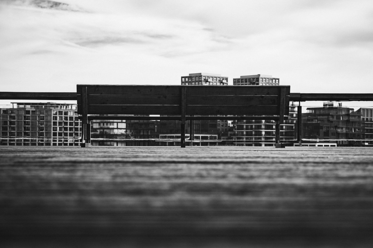 The Docks — photo 13
