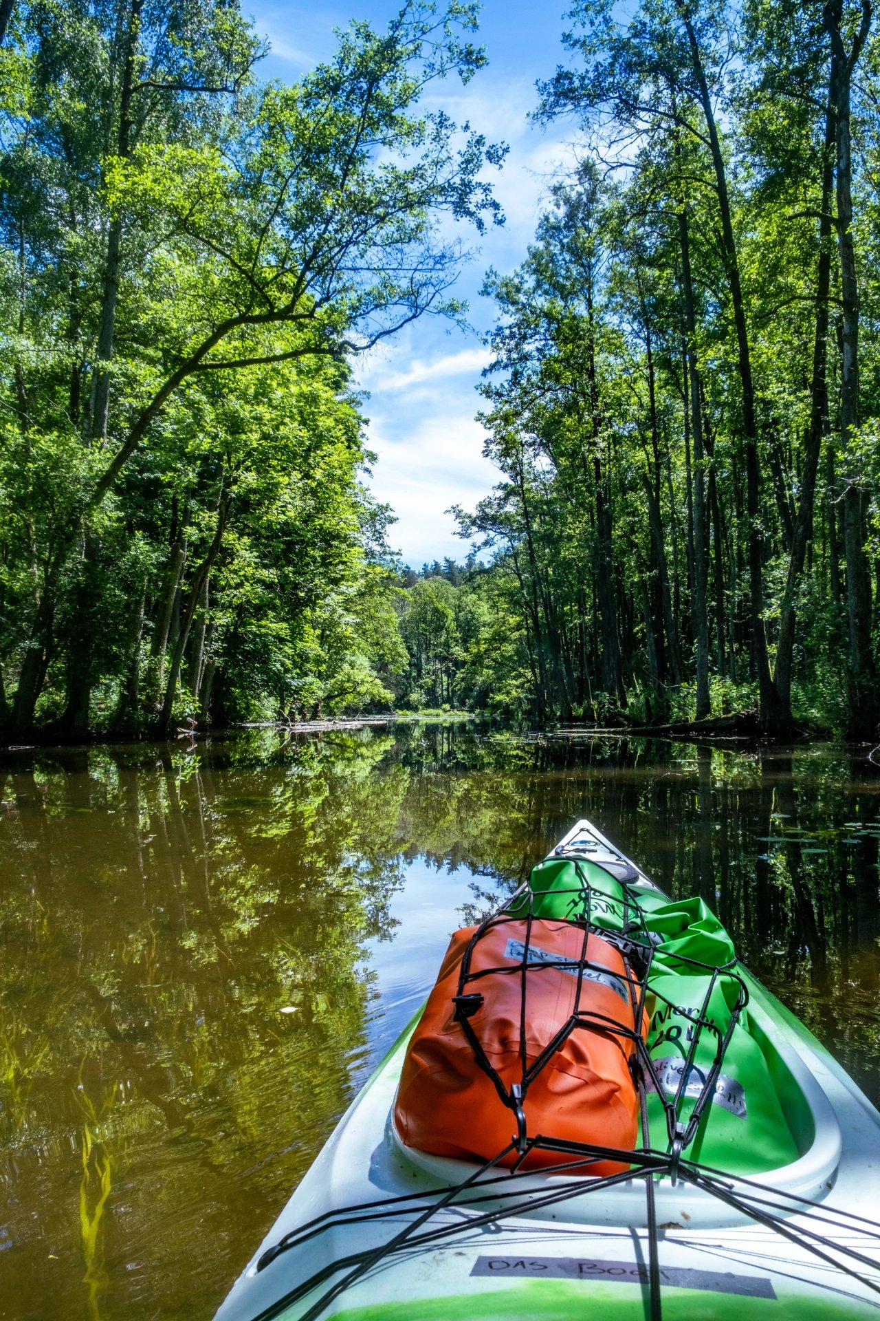 Chasingted Kayak — photo 11