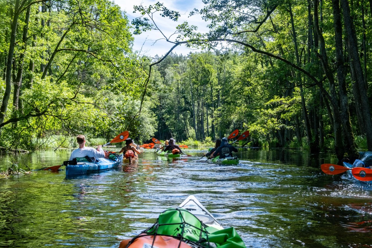 Chasingted Kayak — photo 13