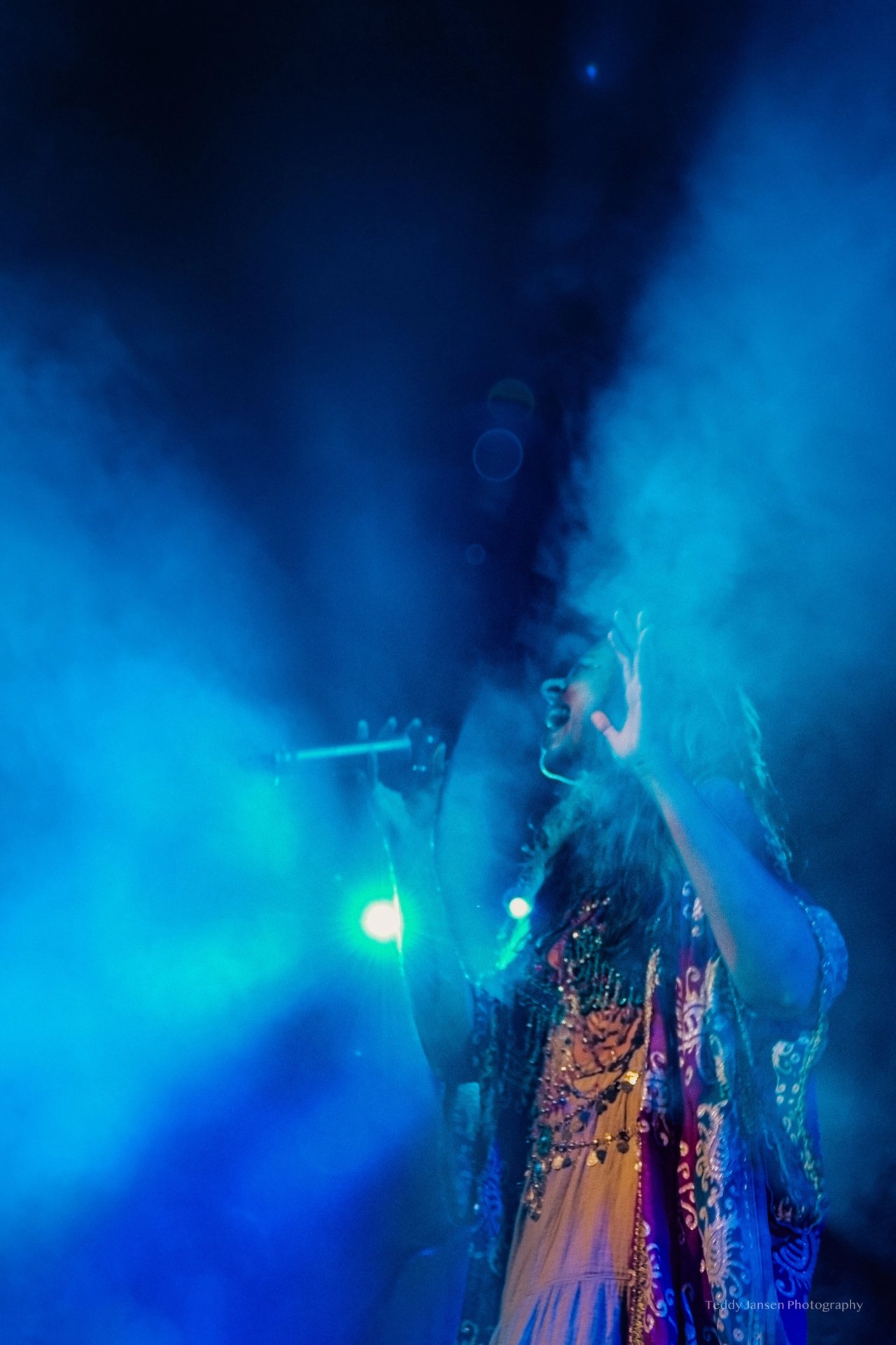 BHAE Festival — photo 6