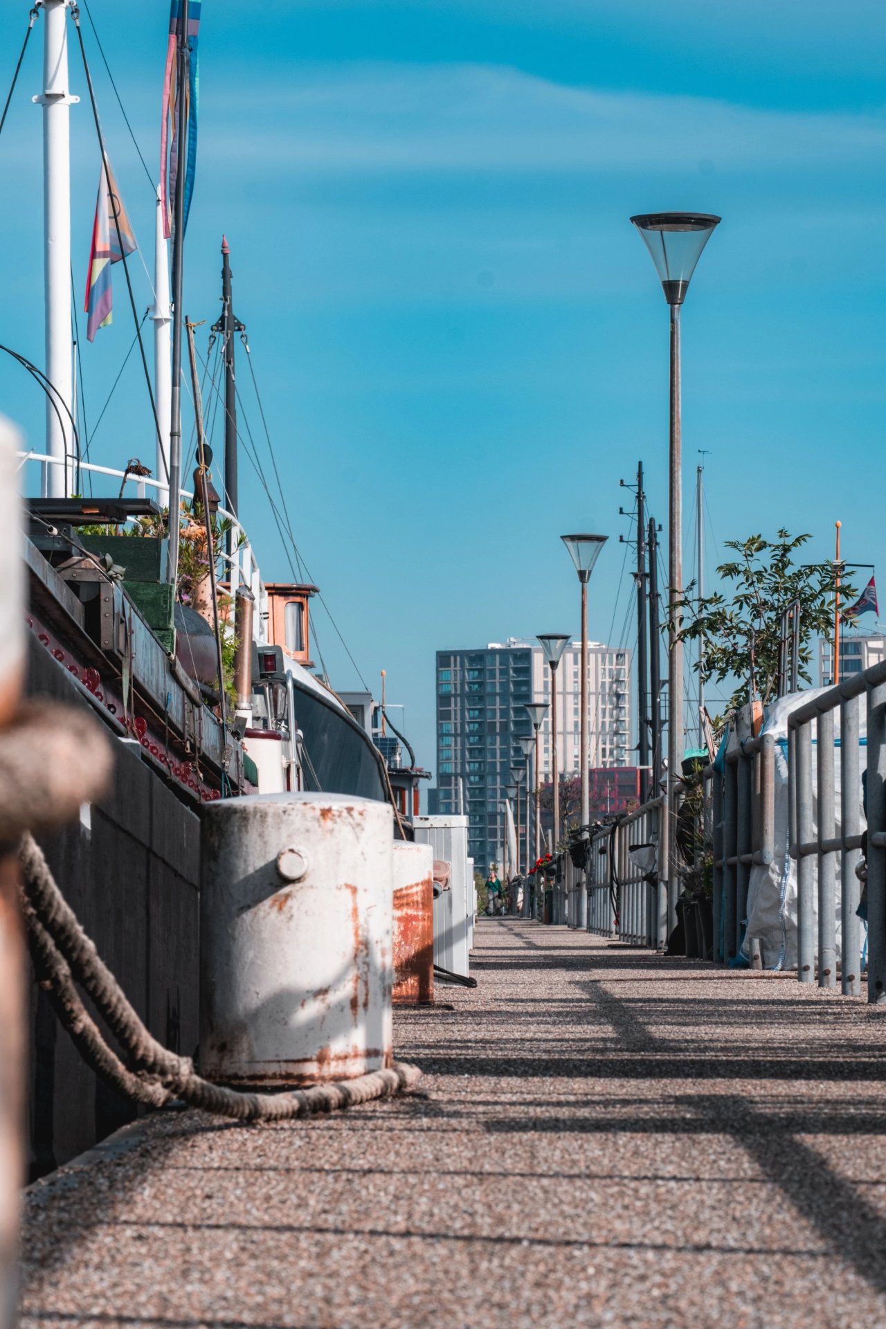 The Docks — photo 5