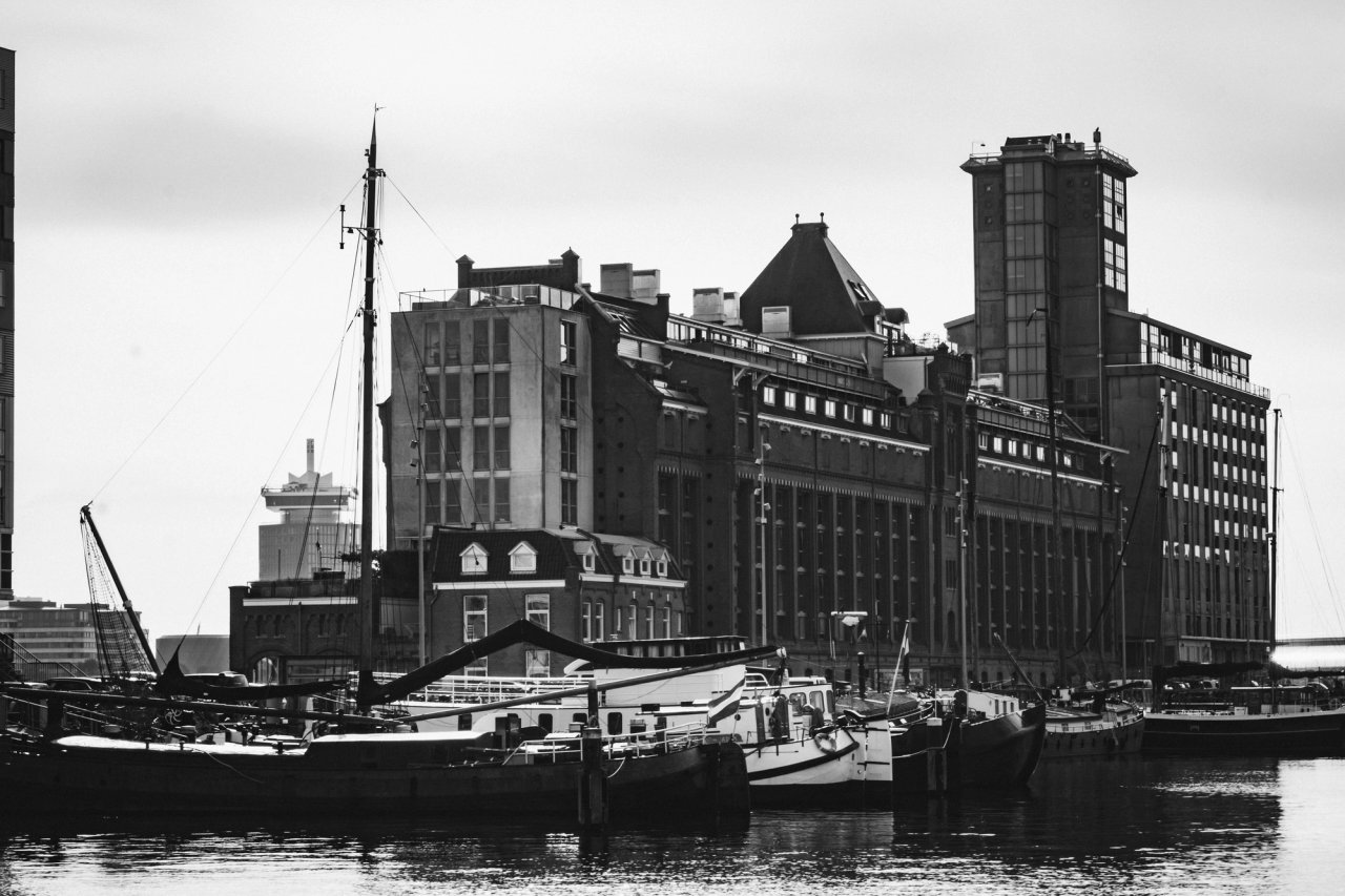 The Docks — photo 8