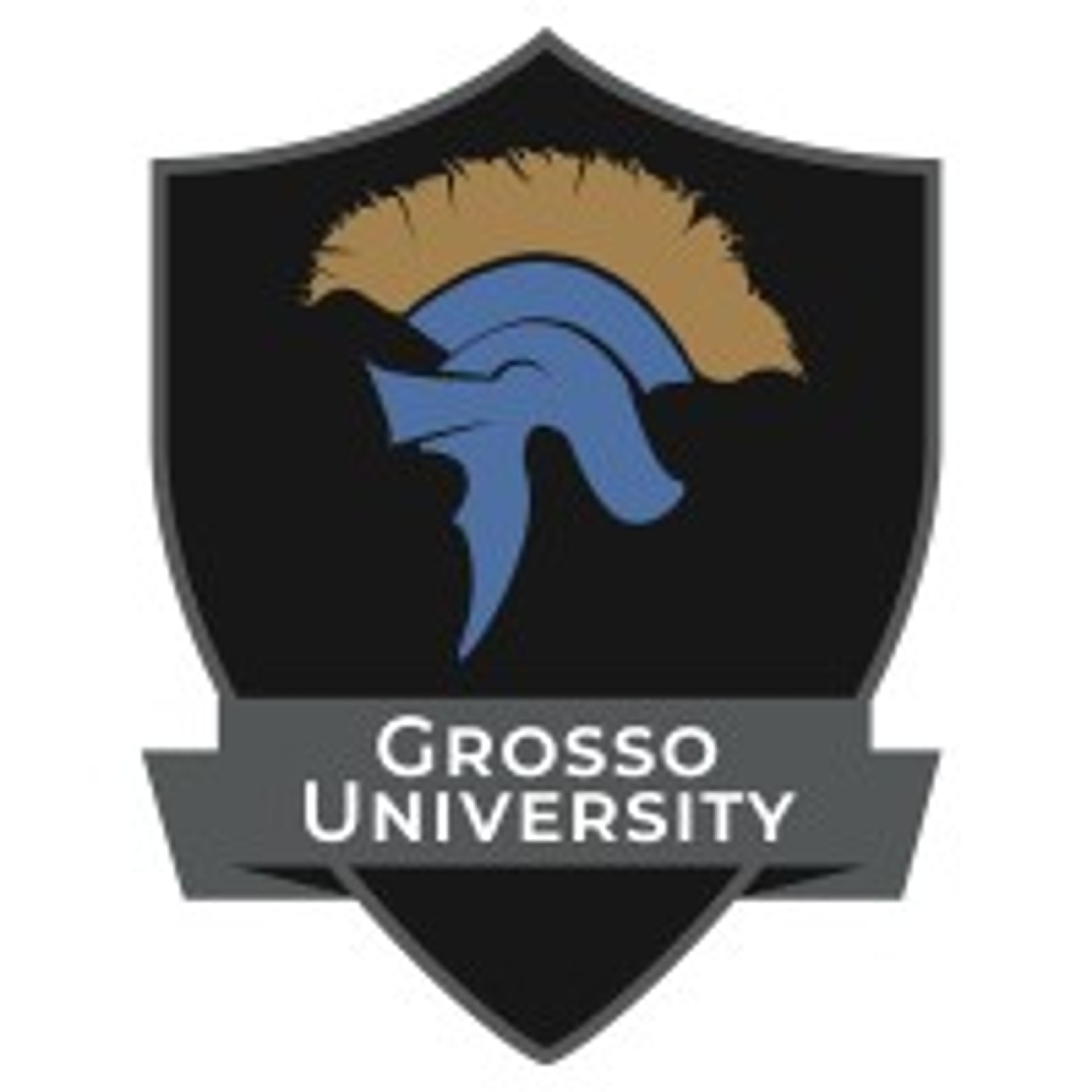 Grosso University