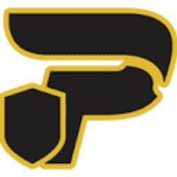 Platinum Plumbing Inc.