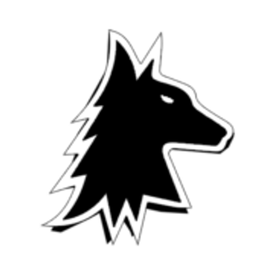 Wolfman Chimney & Fireplace