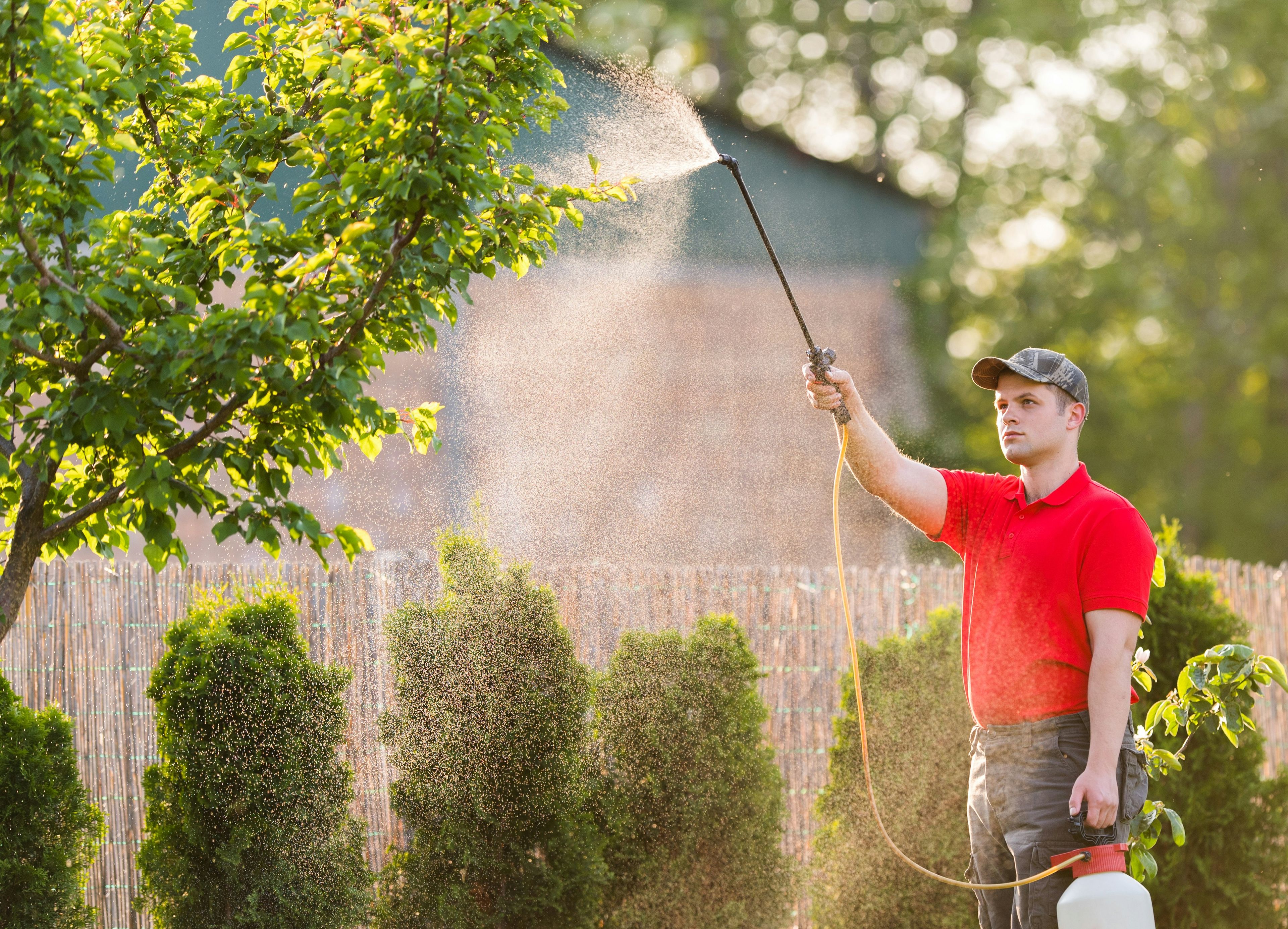 Lawn Care