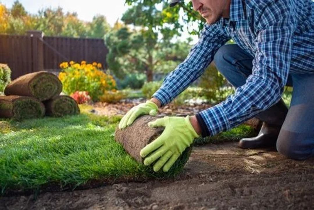 Landscapers