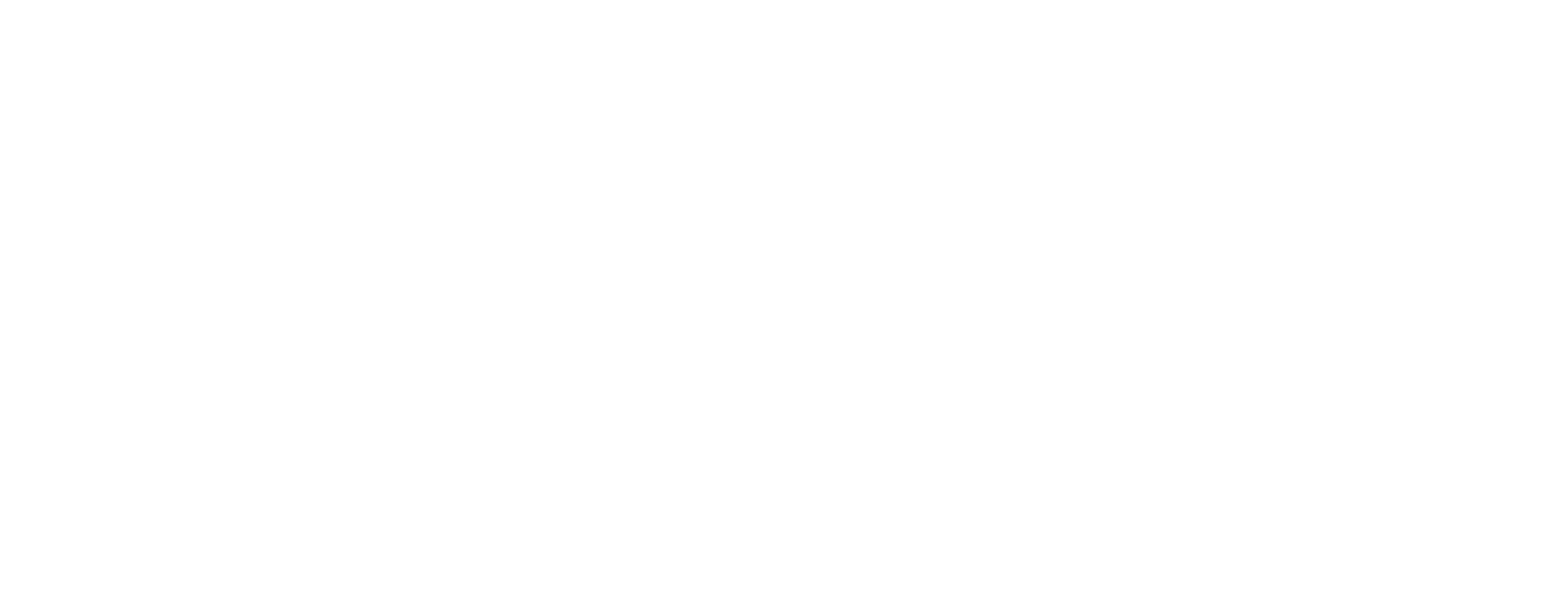 The Blue Collar Success Group