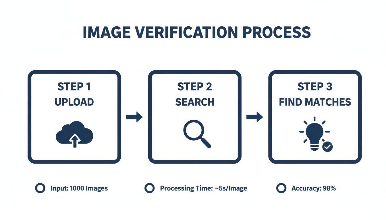 An infographic illustrating a three-step image verification process: upload, search, and find matches, with performance metrics.