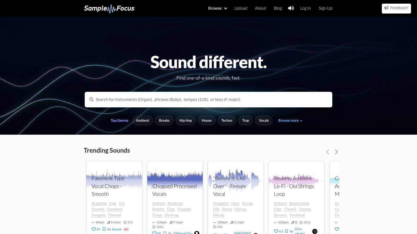 Sample Focus