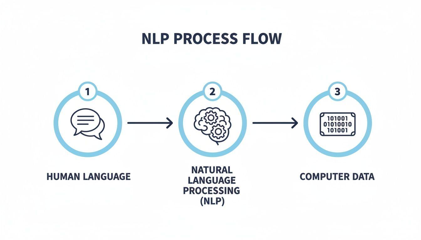 A diagram illustrating the Natural Language Processing (NLP) flow from human language input to computer data output.