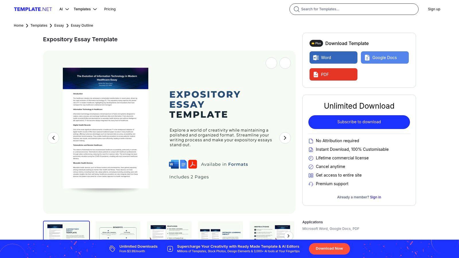 An expository essay template from Template.net showing a structured layout with sections for introduction, body paragraphs, and conclusion.