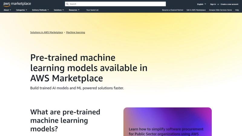AWS Marketplace (AI/ML solutions)