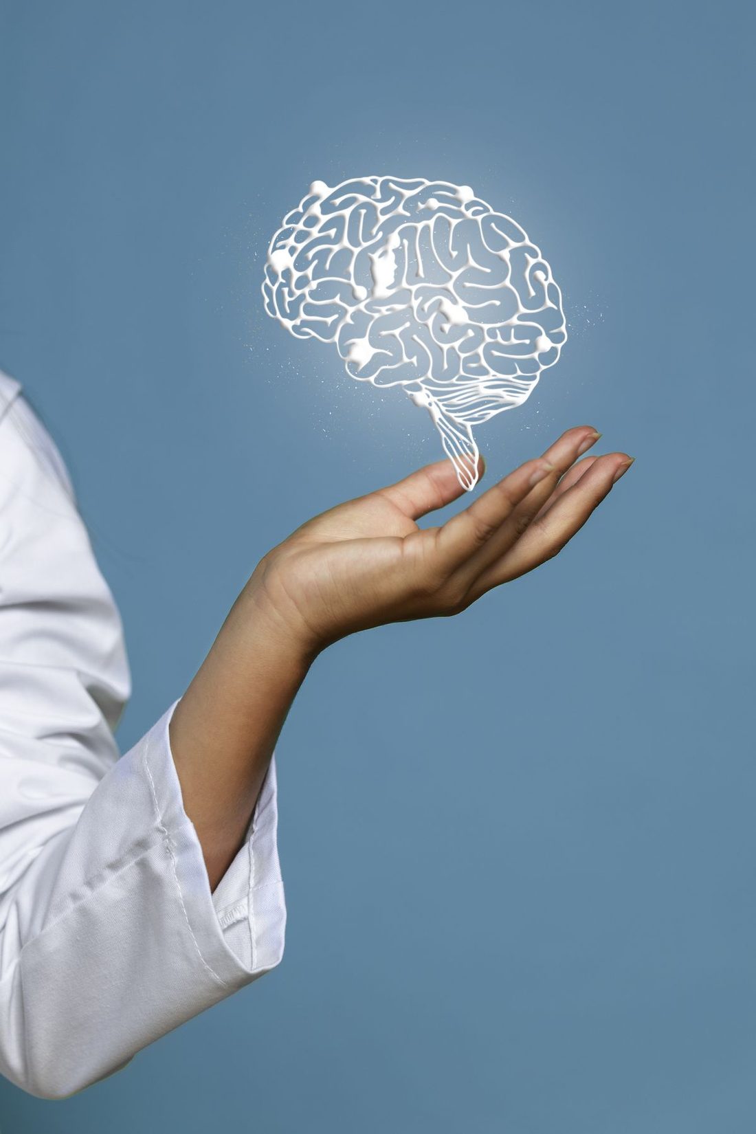 El sistema neuronal.