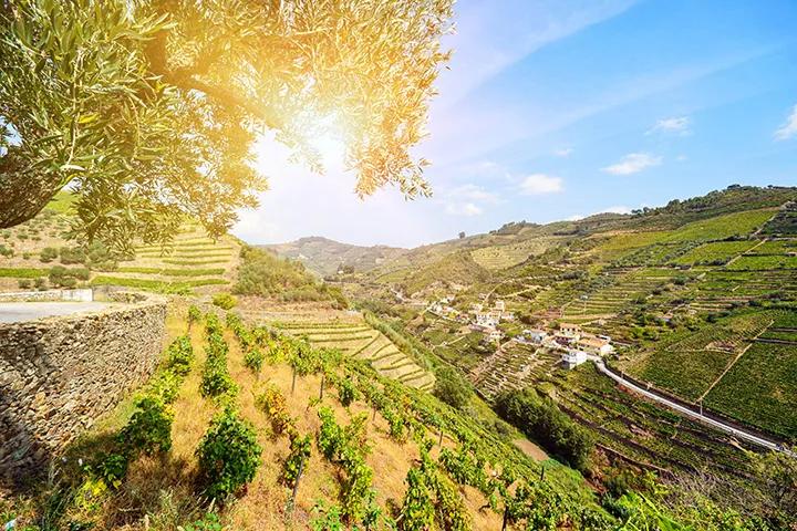 Delightful Douro & Solar Eclipse 8/8/2026-8/15/2026 - Go Next