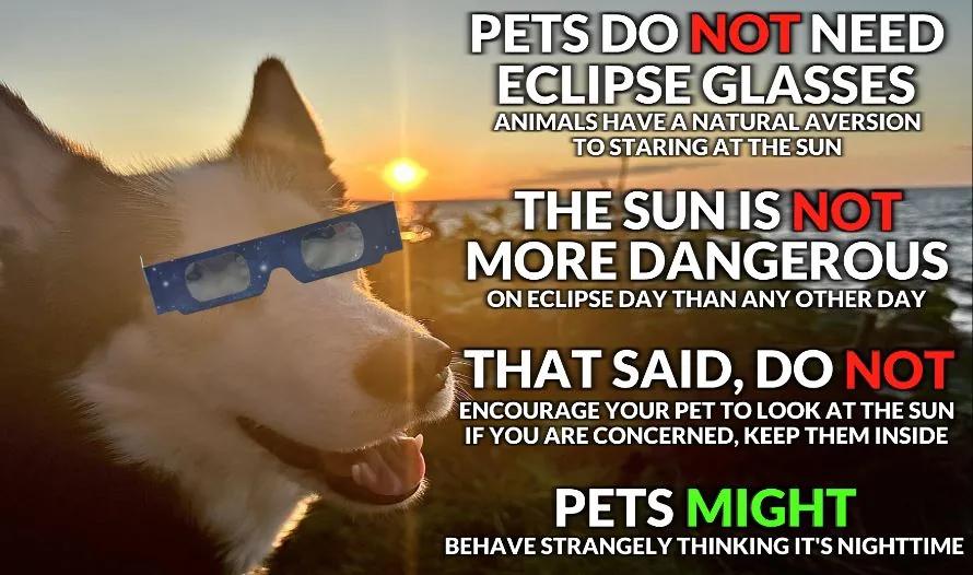 Will the eclipse affect your pets?