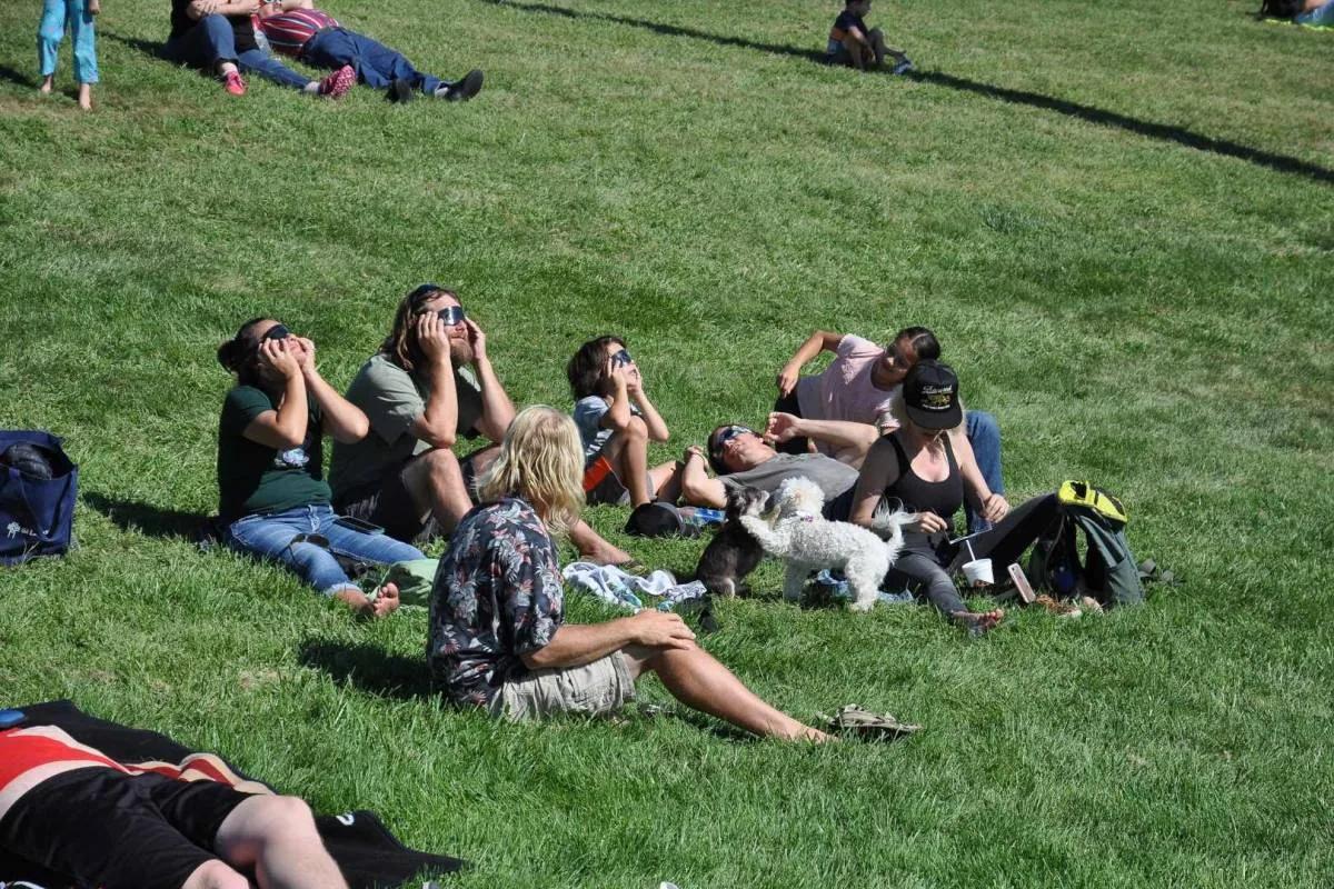 How to Get Free Sunglasses to View the Solar Eclipse from the Madrid City  Council: Pickup Locations and Dates