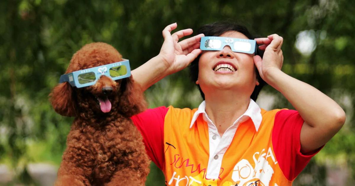 How To Keep Pets Safe During the Solar Eclipse