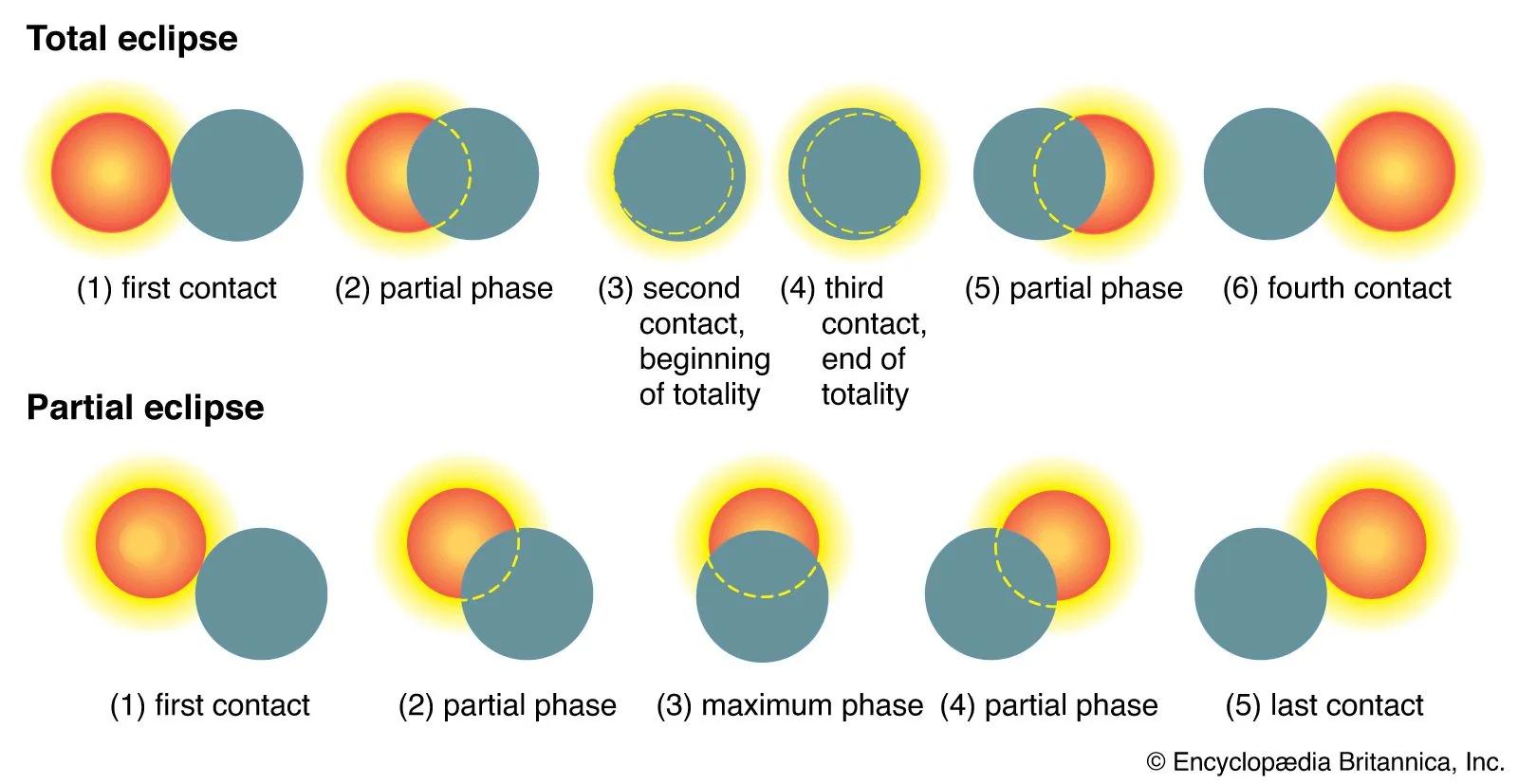 Diagram showing the phases of a total solar eclipse from first contact through totality and the return to partial phases.