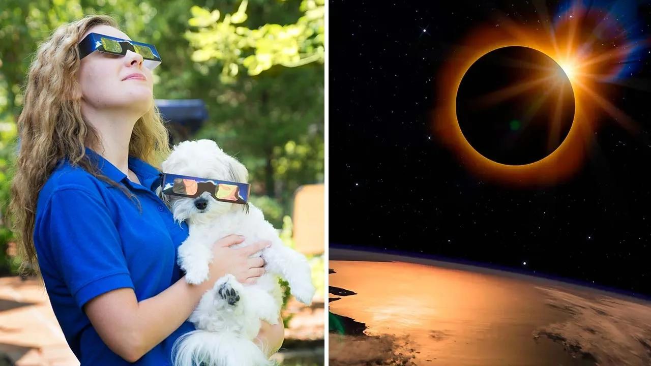 Solar eclipse 2024: Should pet owners be concerned for their animals'  safety ahead during the rare event?