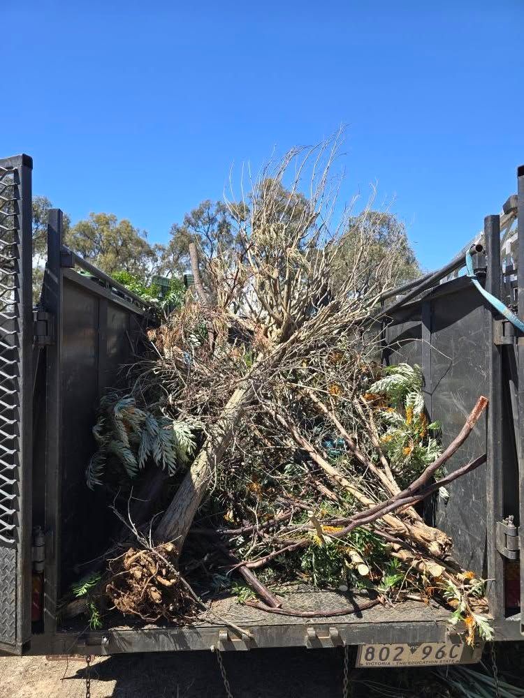 Property Clean-Ups
