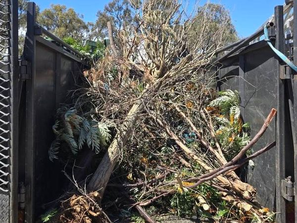 Property Clean-Ups