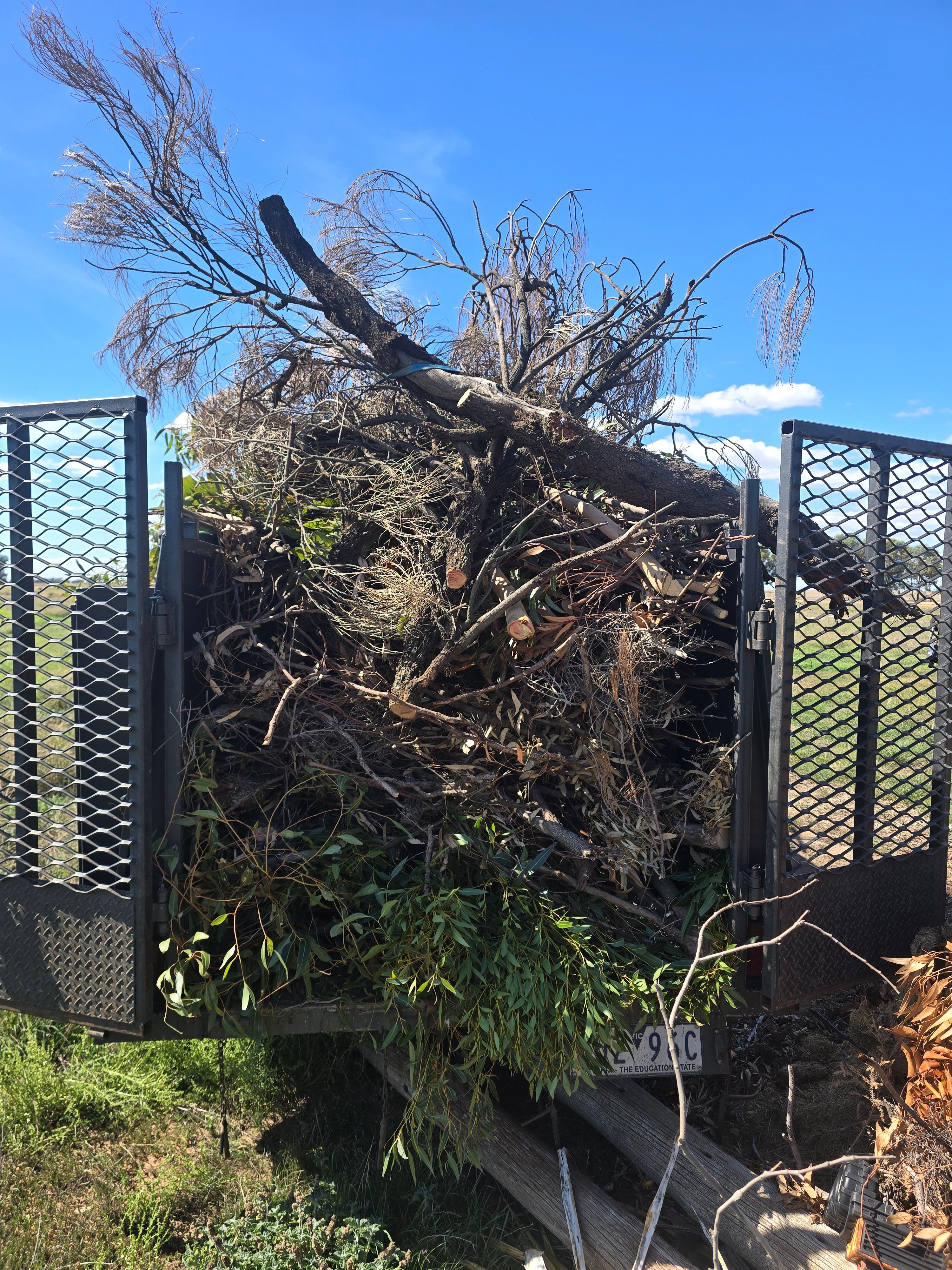 Greenwaste Removal in Watchem