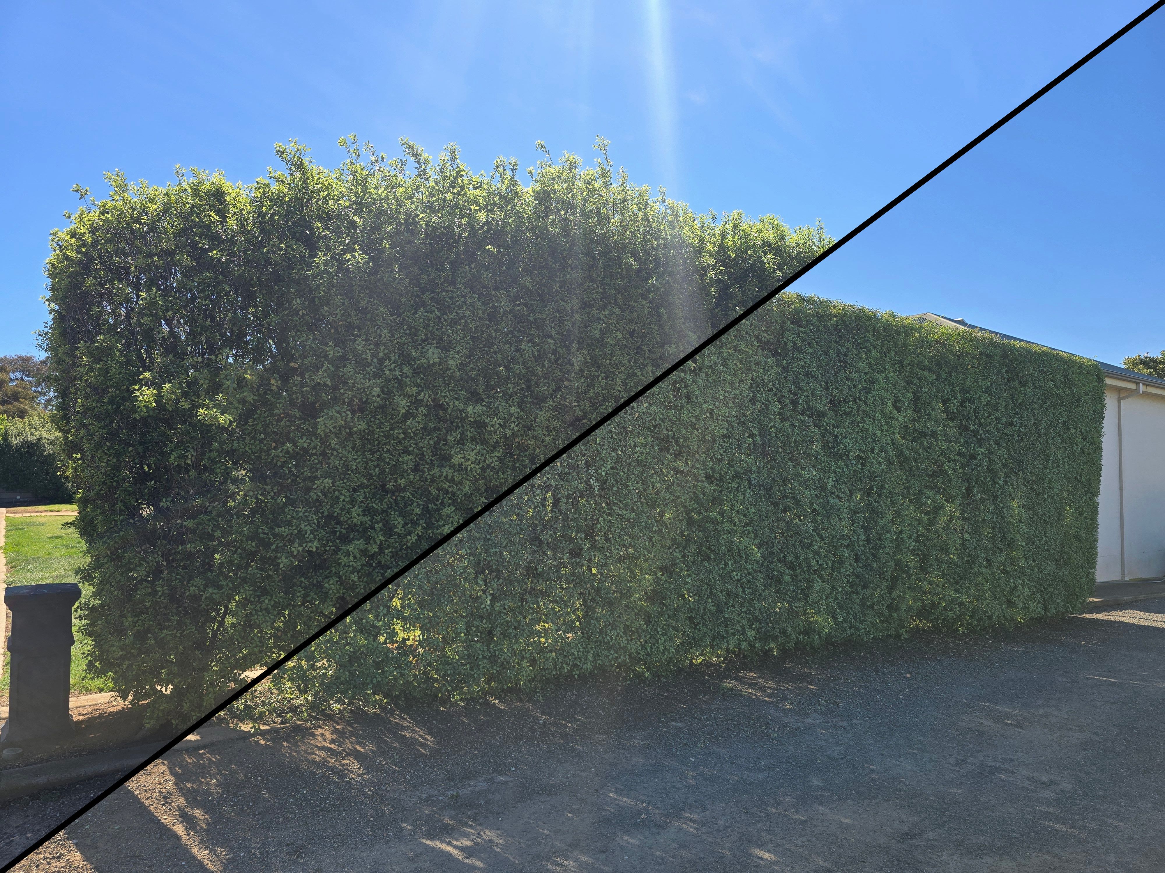 Hedge Trimming & Shaping service by Bowles Mowing and Maintenance