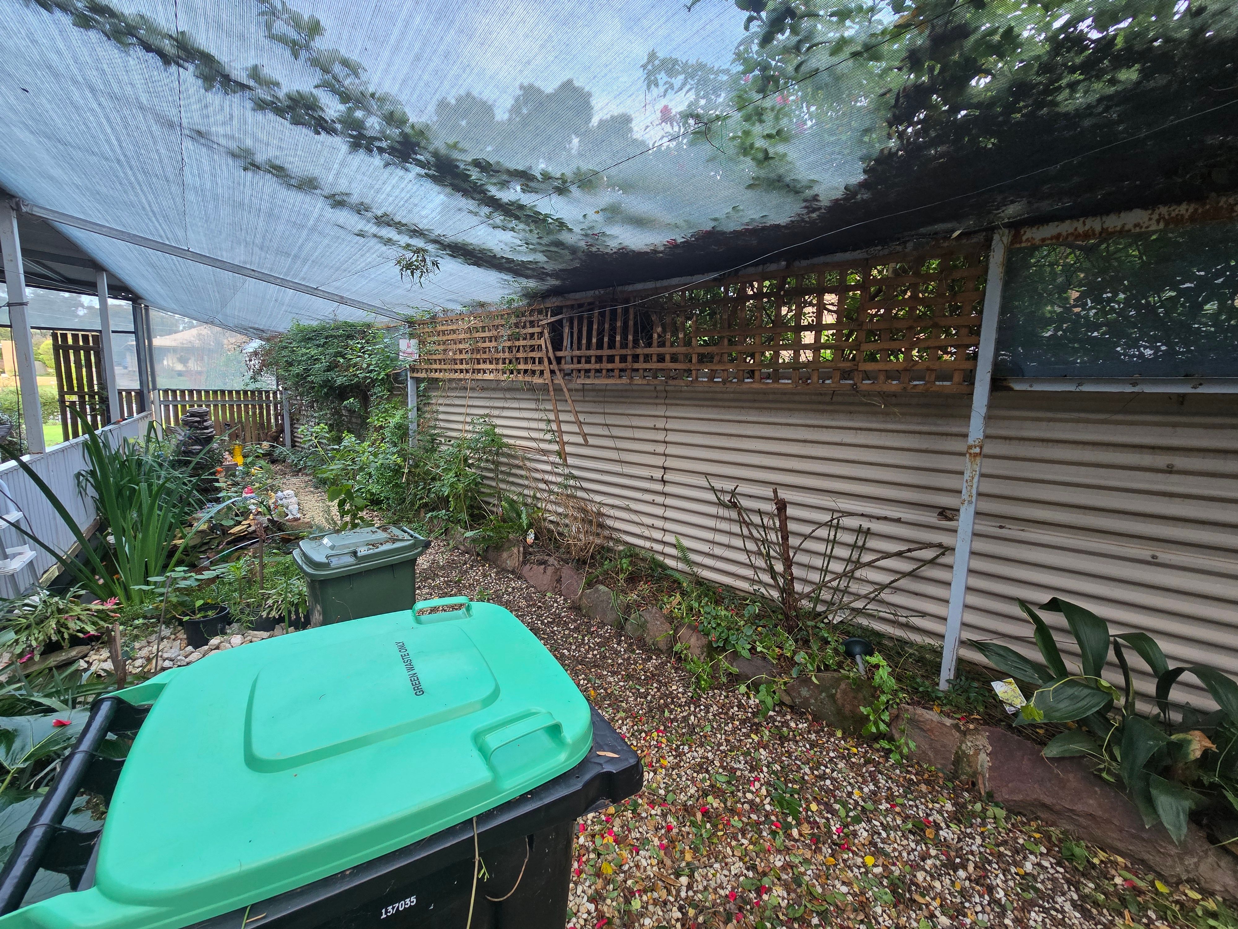 Rose Vine Reduction & Garden Maintenance in St Arnaud