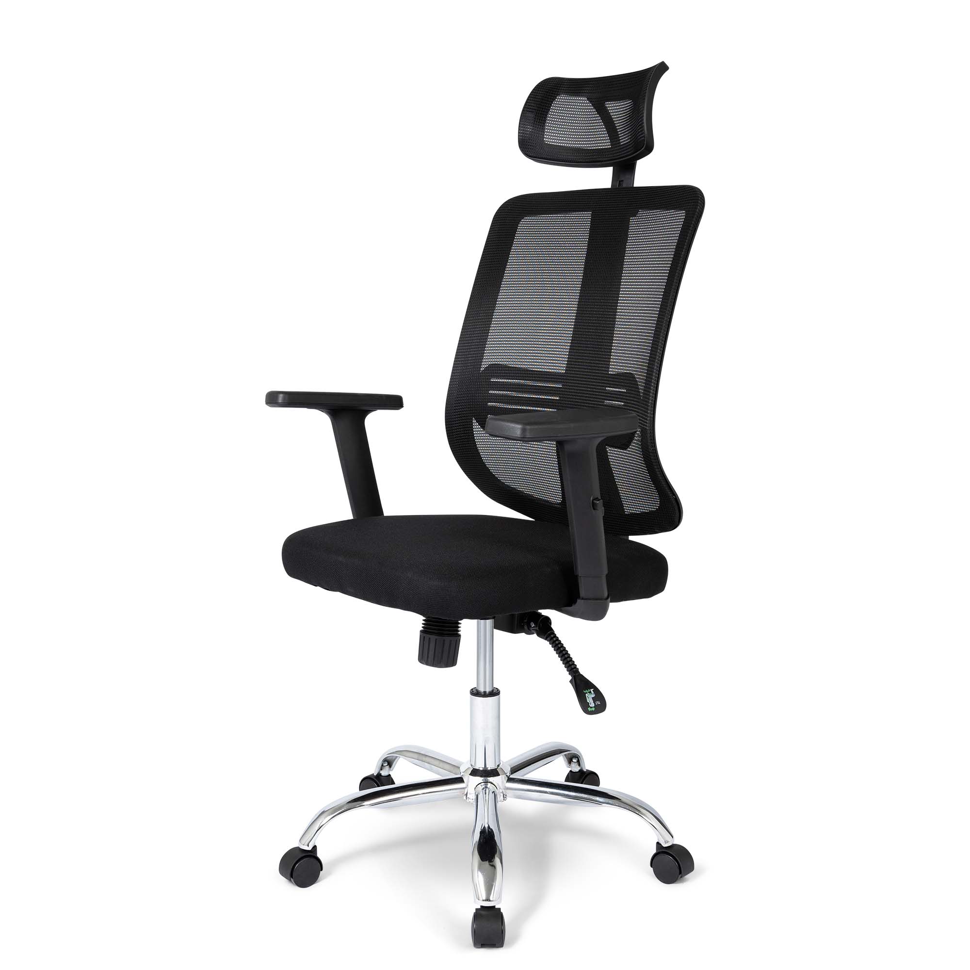 Ergodu Office Chair with Adjustable Armrests