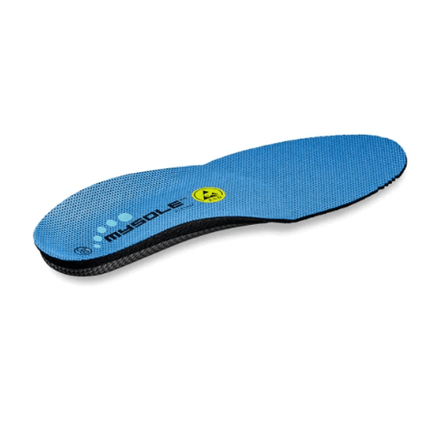 Back view of the MySole Medium Arch Insoles