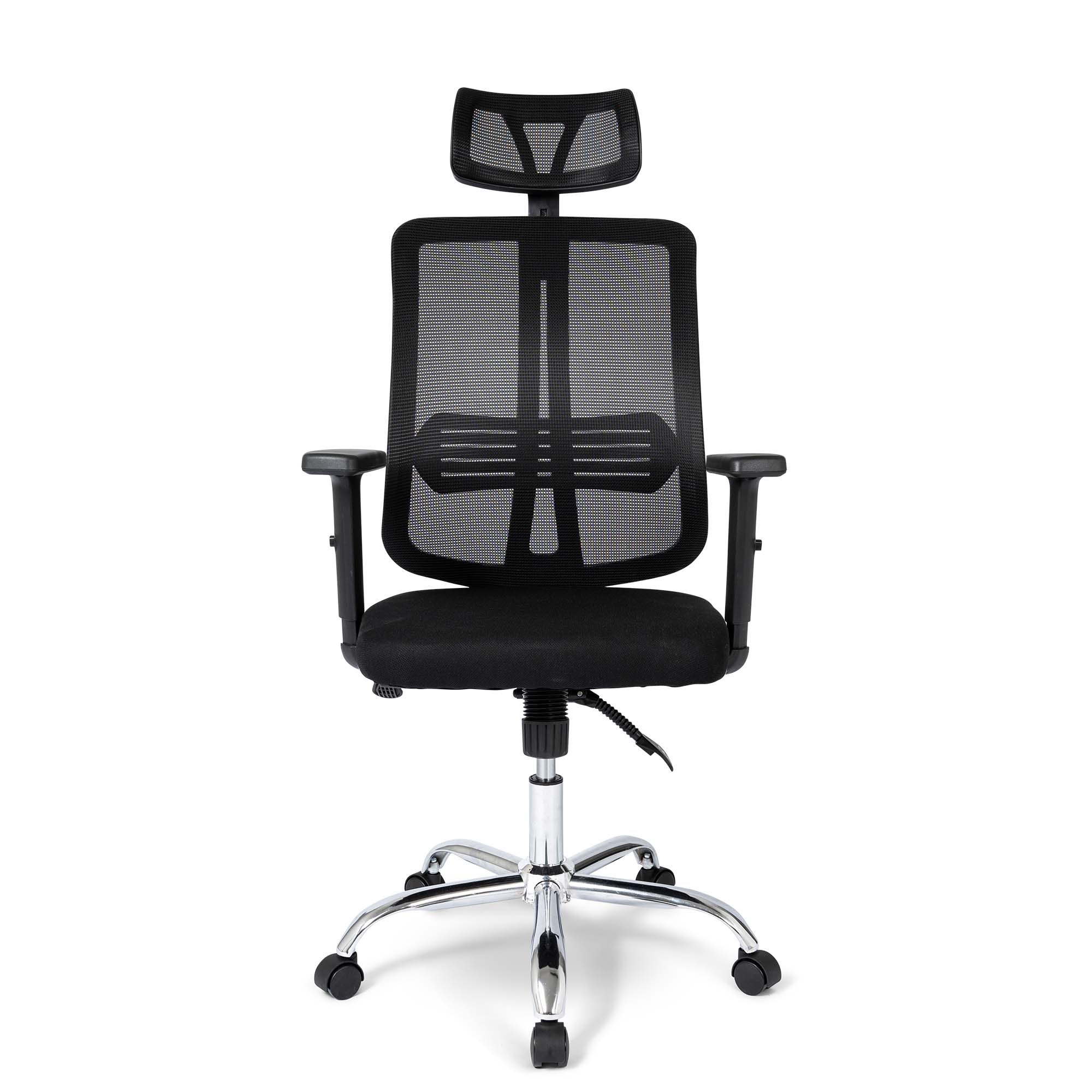 Ergodu Office Chair with Adjustable Armrests front view