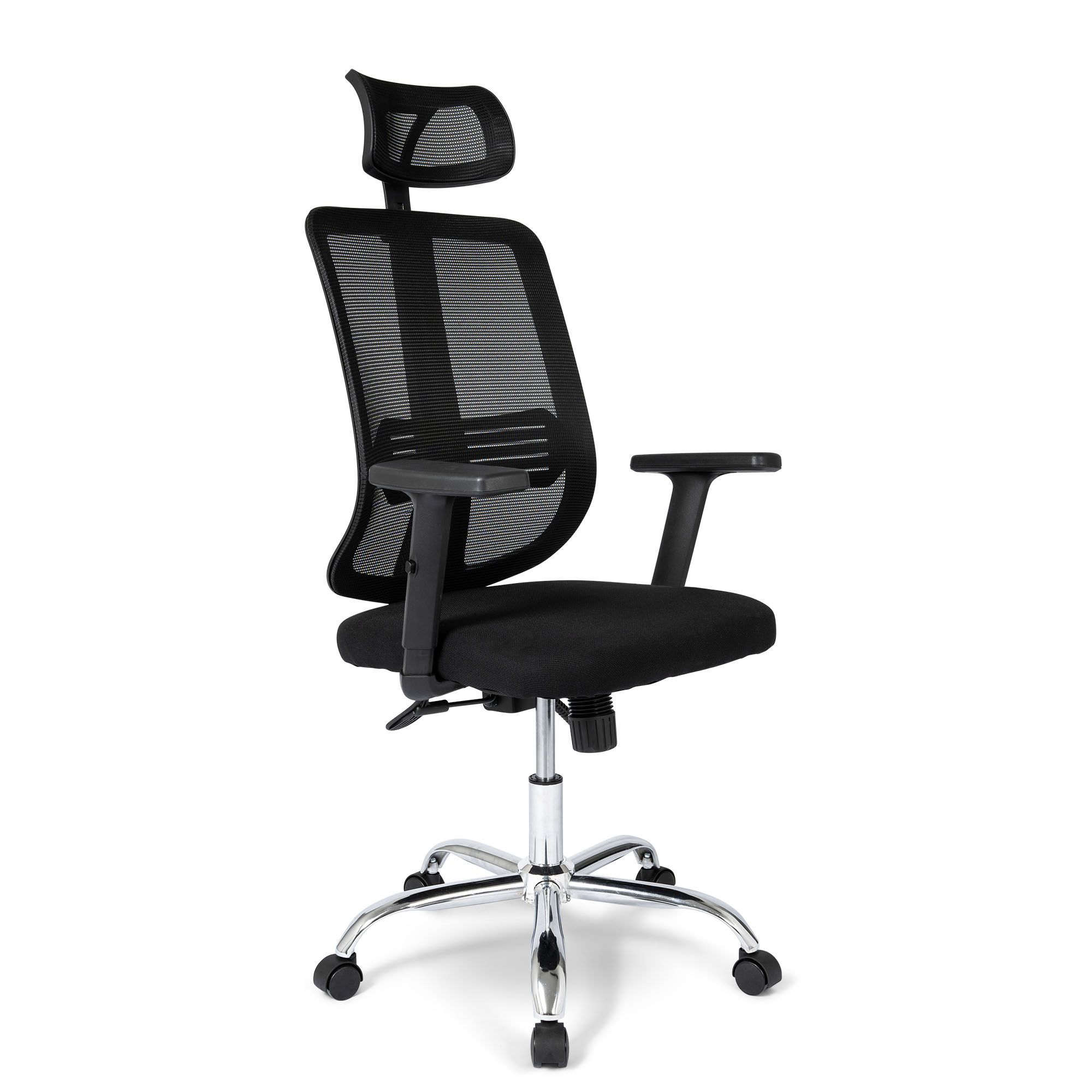 Ergodu Office Chair with Adjustable Armrests