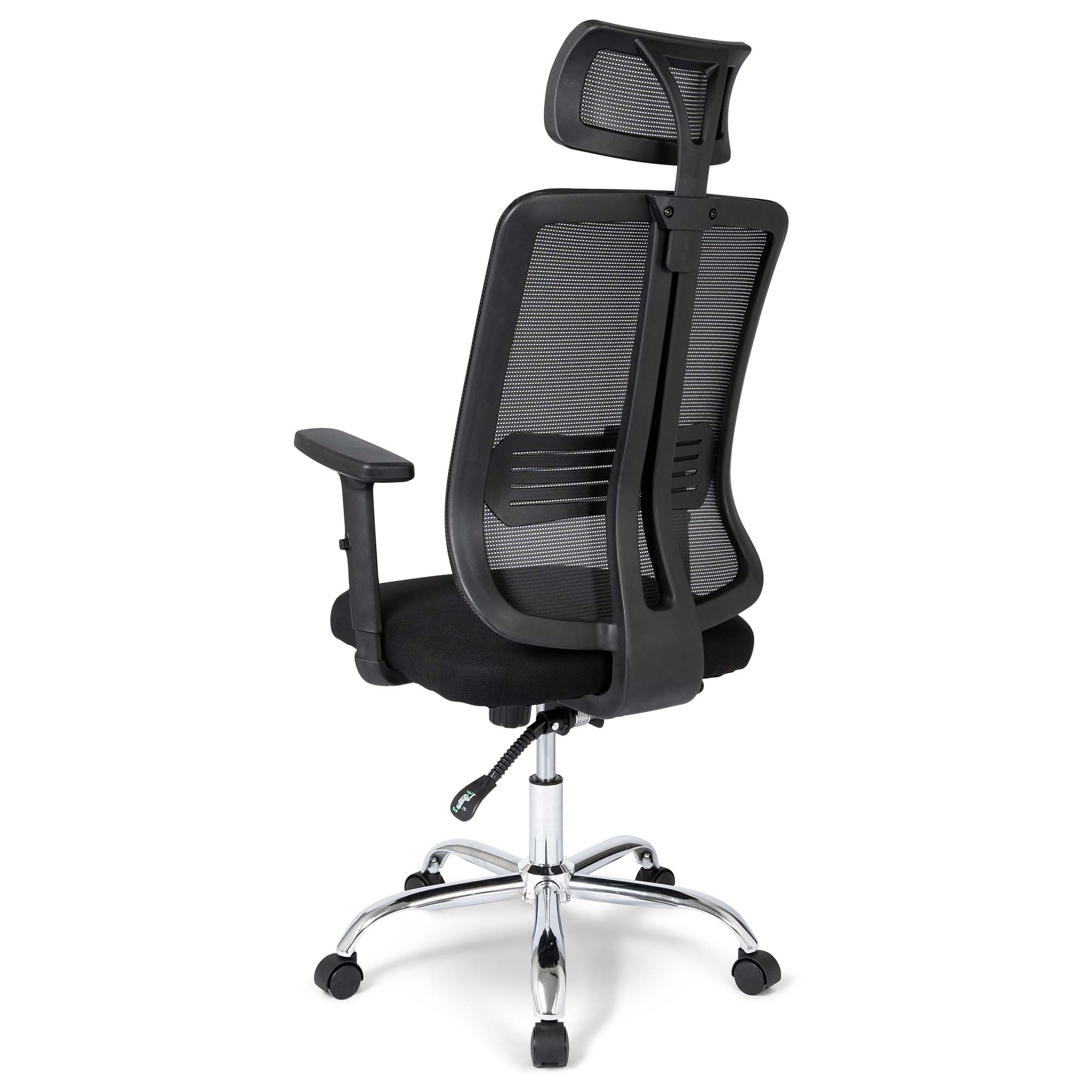 Ergodu Office Chair with Adjustable Armrests back view