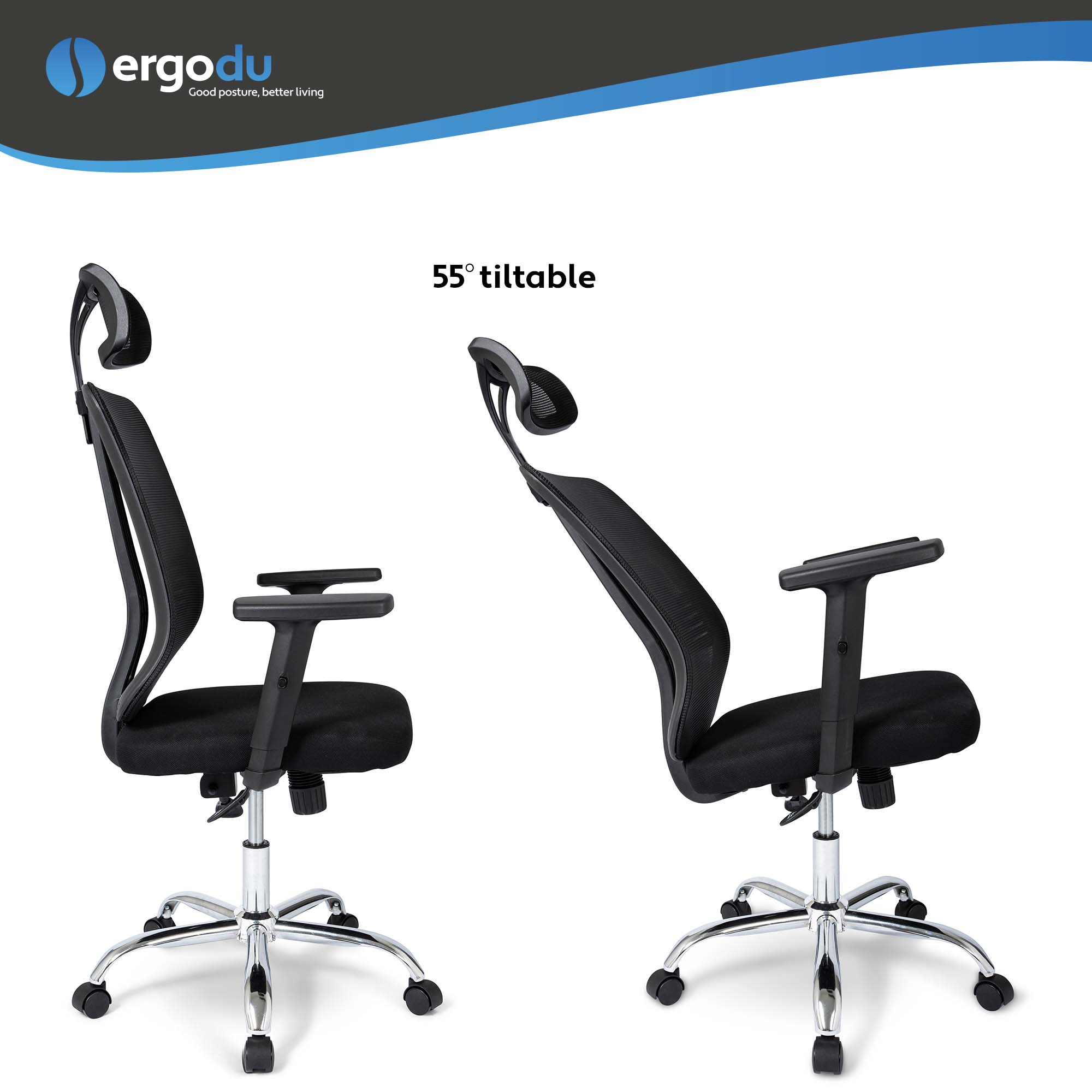 Ergodu Office Chair with Adjustable Armrests tilt angle