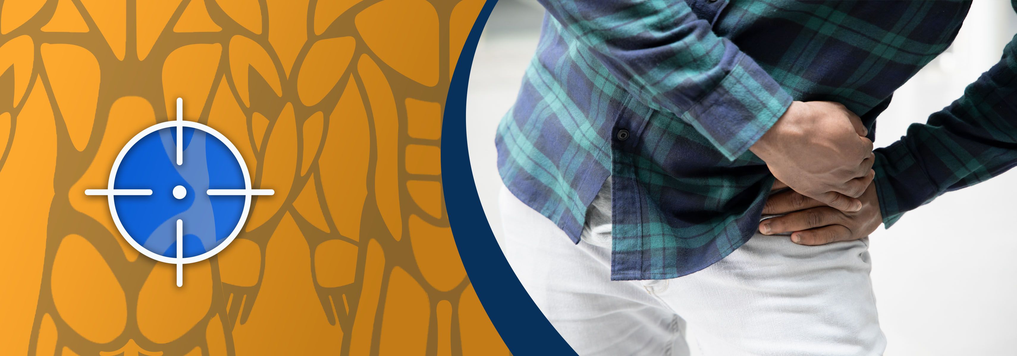 Everything about hip protectors