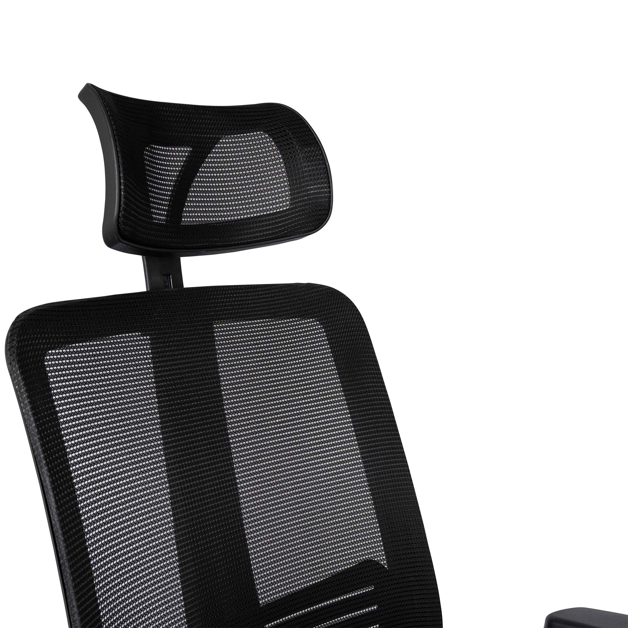 Ergodu Office Chair with Adjustable Armrests headrest