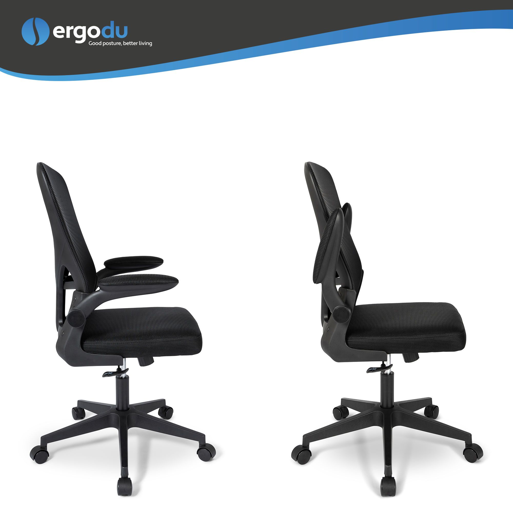 Ergodu Ergonomic Office Chair with Foldable Armrests 