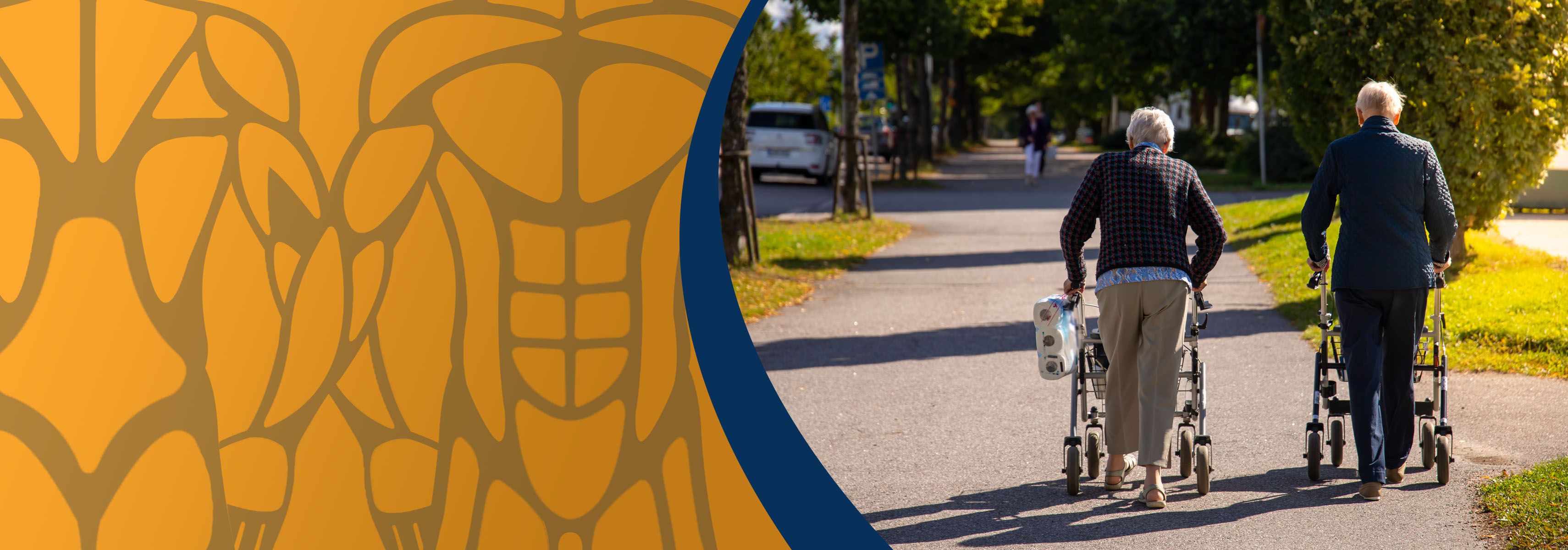 What should you pay attention to when buying a rollator