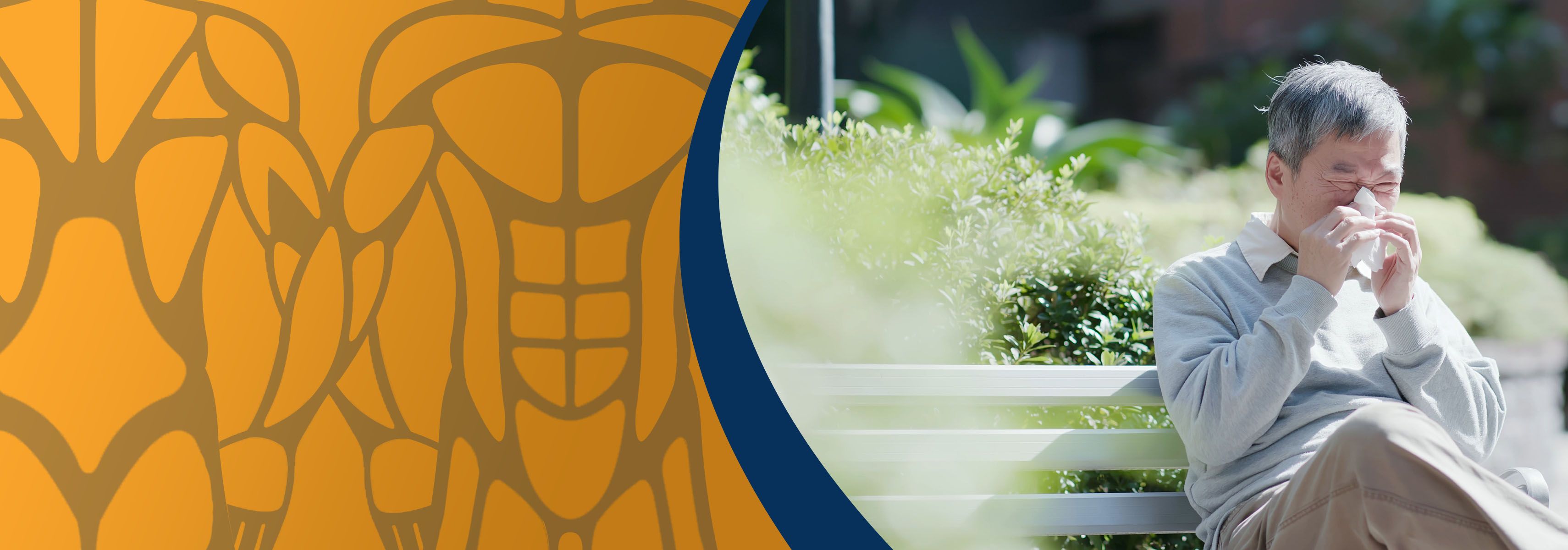 Heuschnupfen im höheren Lebensalter