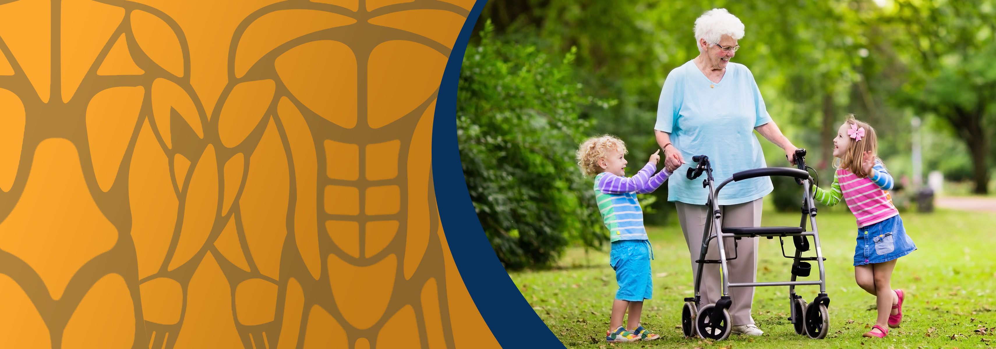 Alles über den Rollator