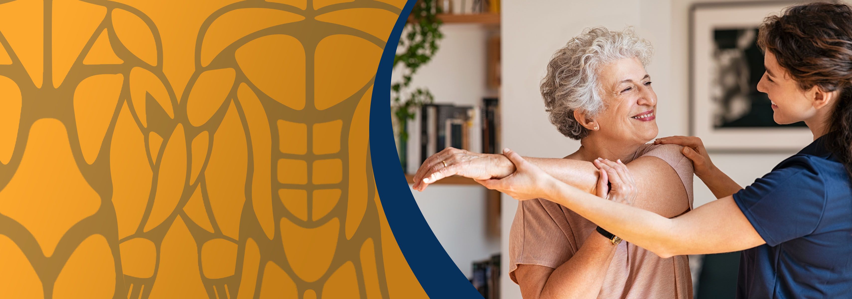 Stretching exercises for the elderly