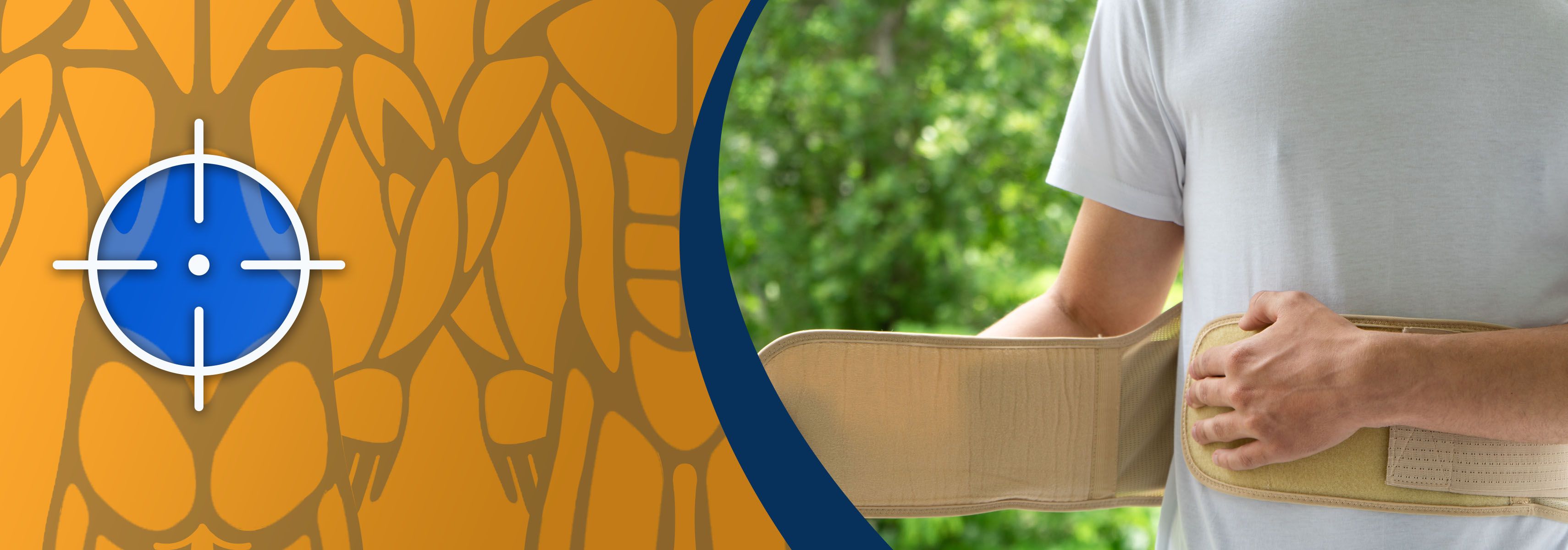 How does a back support work