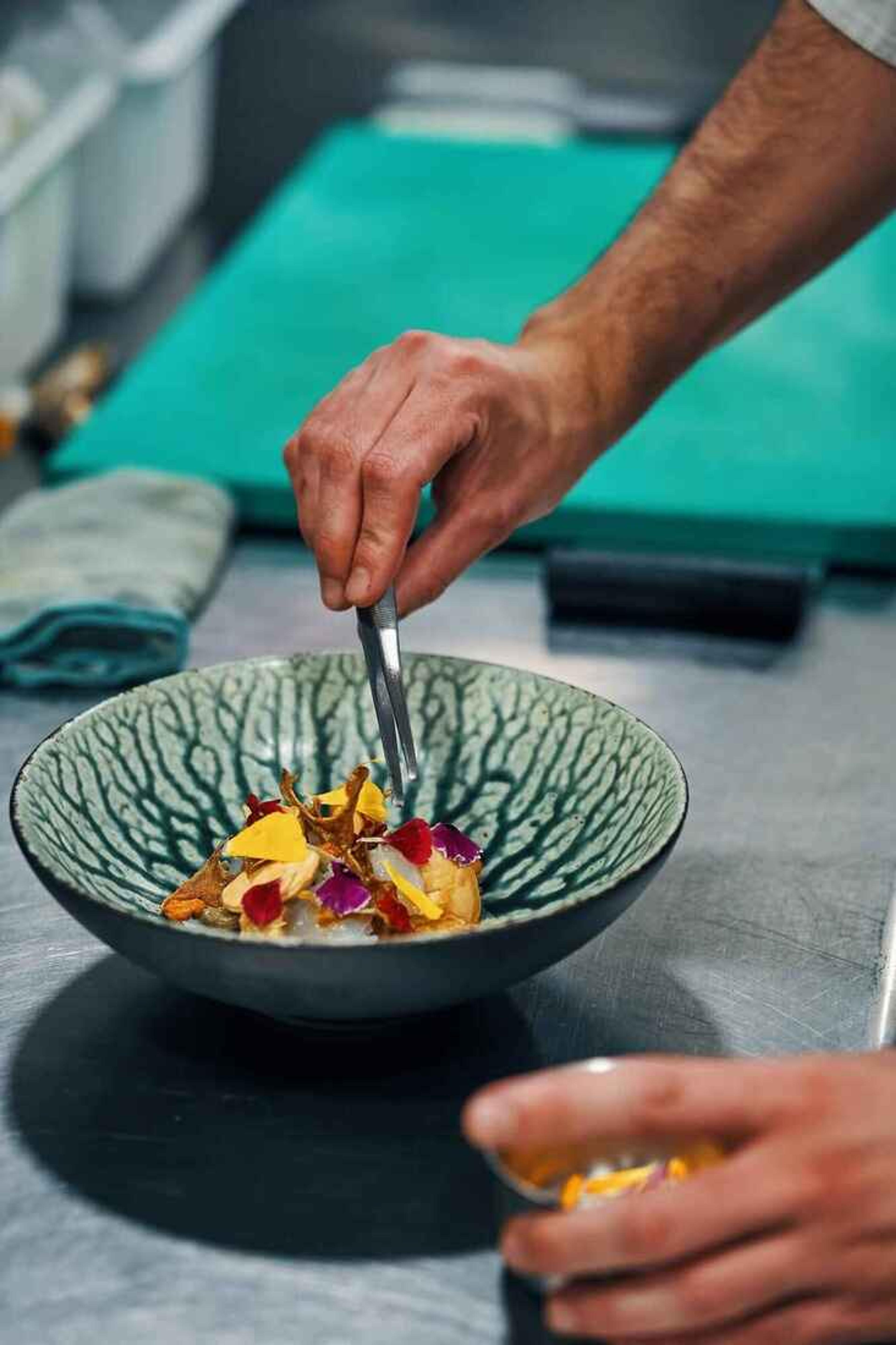 Culinary Journey
