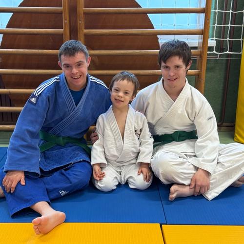 Inkluzivni judo za osebe s posebnimi potrebami