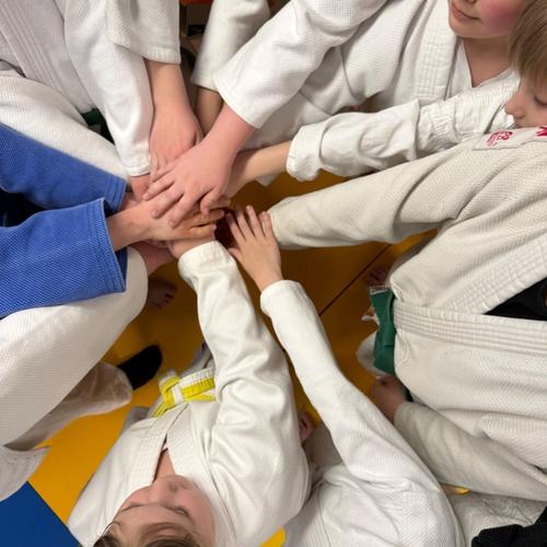Nadaljevalni in tekmovalni judo