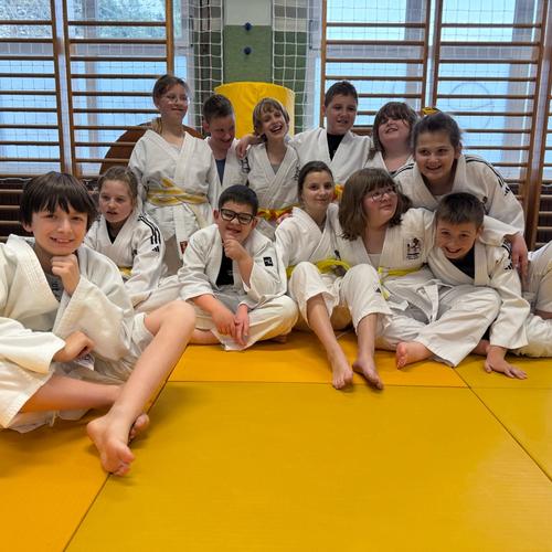 Inkluzivni judo za osebe s posebnimi potrebami
