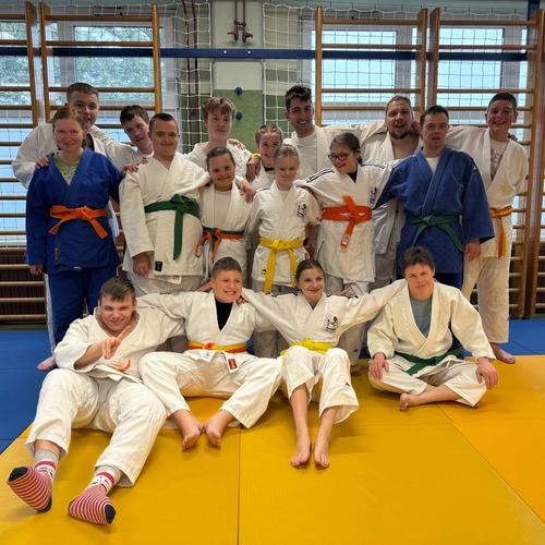Inkluzivni judo za osebe s posebnimi potrebami