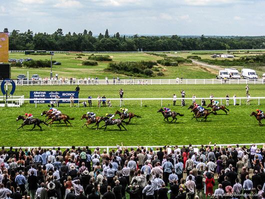 Punters Panel: Horse racing betting tips for this weekend