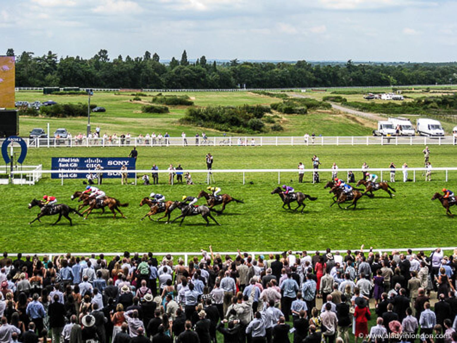 Punters Panel: Horse racing betting tips for this weekend